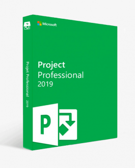 buy project 2019 professional