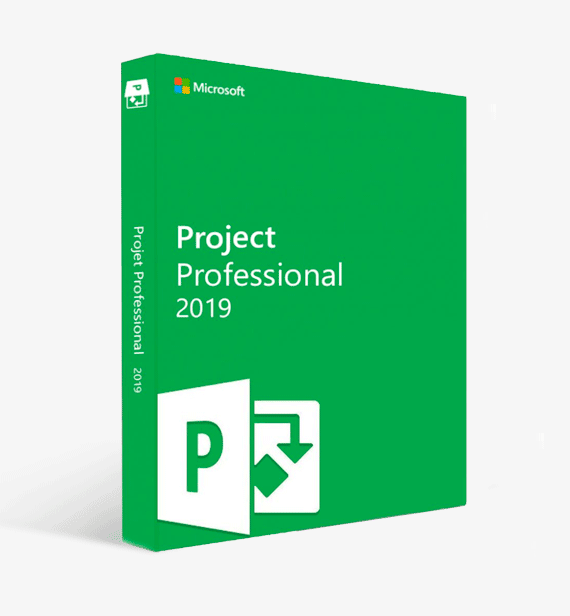 buy project 2019 professional